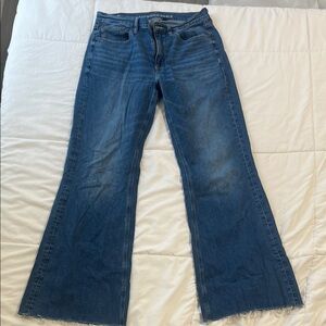 American Eagle Outfitters Lo-Rise Baggy Flare Jeans